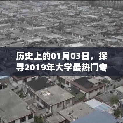 探寻2019年大学热门专业变迁，历史视角下的专业变迁解析