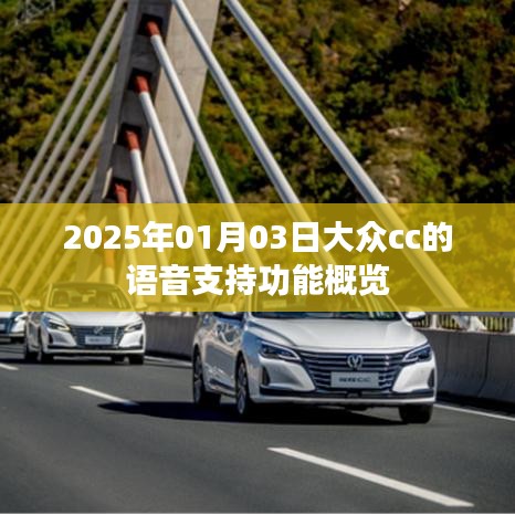 大众CC语音支持功能概览（2025年1月3日更新）