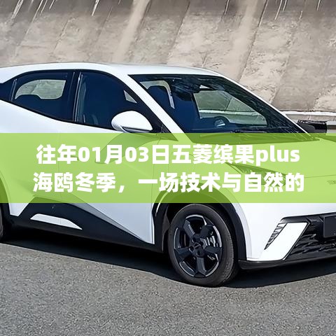 五菱缤果plus冬季技术展,自然与技术的融合之旅