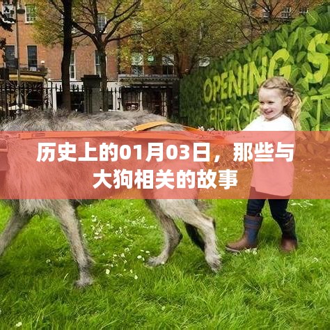 1月3日历史上的大狗故事回顾