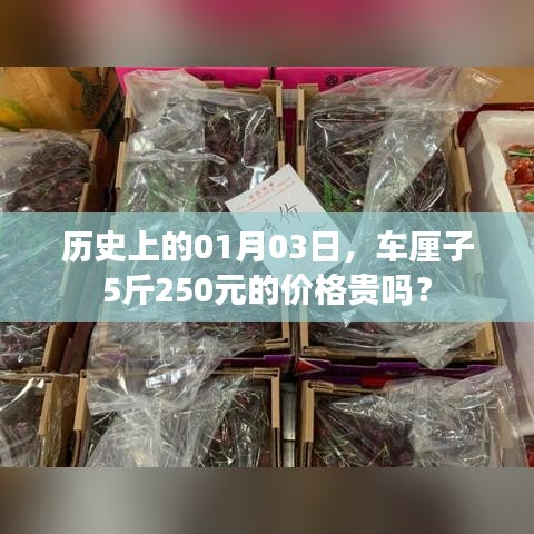 历史车厘子价格解析，一月三日，五斤售价250元是否贵？
