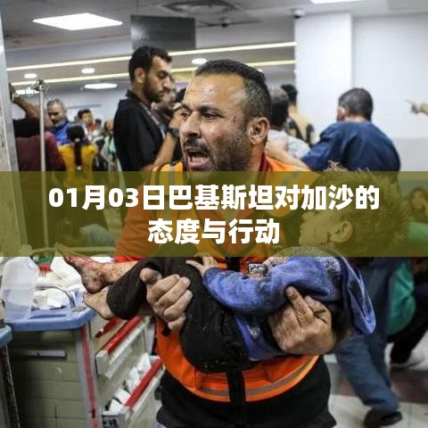 巴基斯坦对加沙的态度与行动，最新报道及分析
