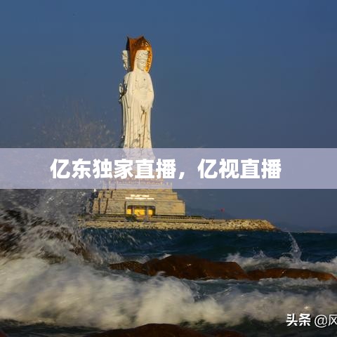 亿东独家直播，亿视直播 