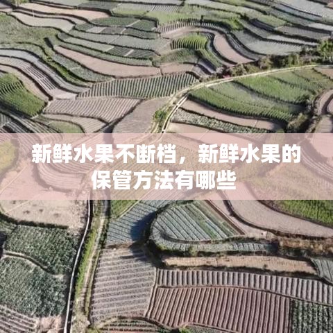 新鲜水果不断档，新鲜水果的保管方法有哪些 