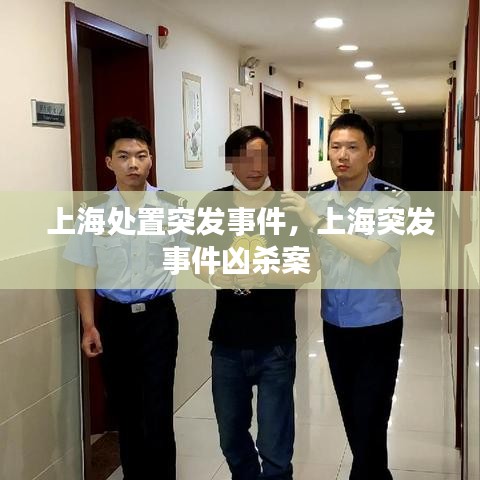 上海处置突发事件，上海突发事件凶杀案 