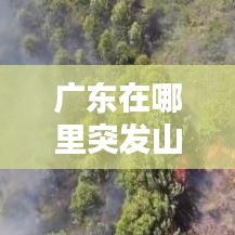 广东在哪里突发山火,广东近期山火