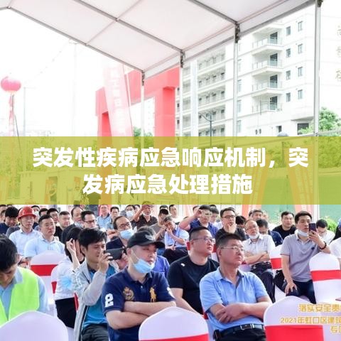 突发性疾病应急响应机制，突发病应急处理措施 