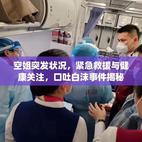 回收项目 第1119页