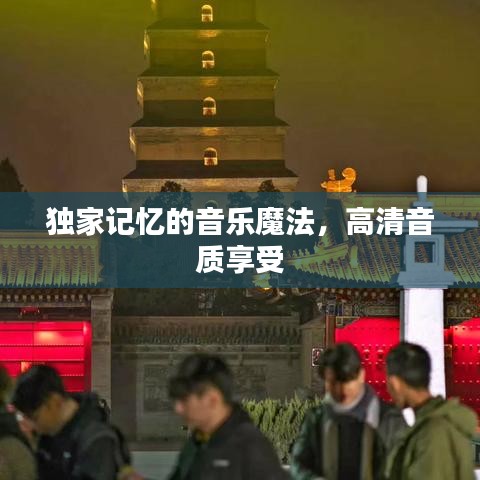 独家记忆的音乐魔法，高清音质享受
