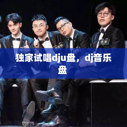 独家试唱dju盘，dj音乐盘 
