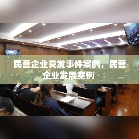 民营企业突发事件案例，民营企业发展案例 