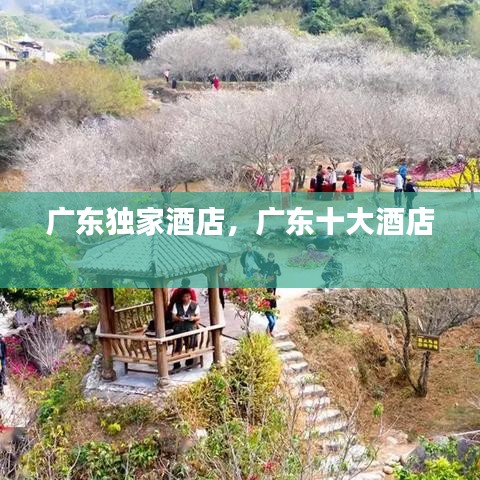广东独家酒店,广东十大酒店