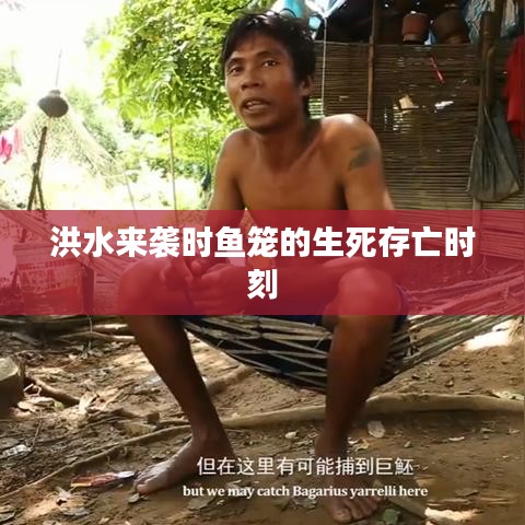 洪水来袭时鱼笼的生死存亡时刻