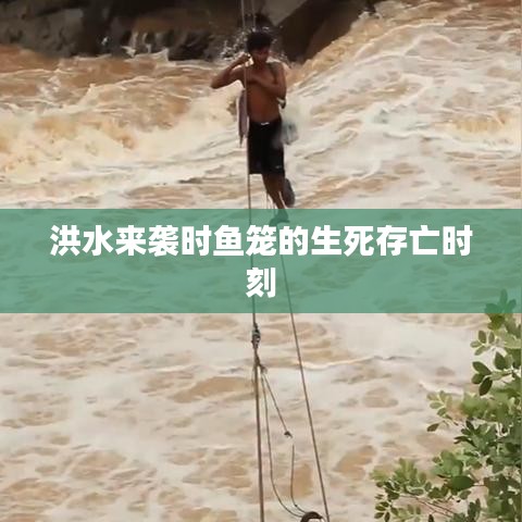 洪水来袭时鱼笼的生死存亡时刻