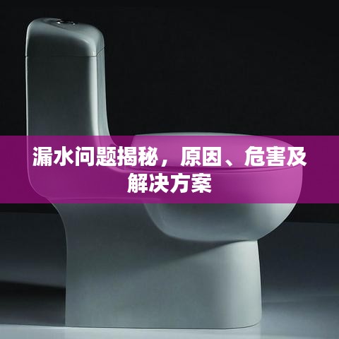 漏水问题揭秘,原因、危害及解决方案