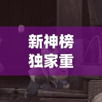 新神榜独家重生,重塑传奇辉煌篇章,不容错过的精彩内容!