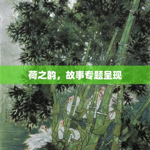 荷之韵，故事专题呈现