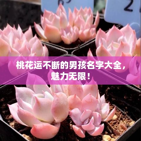 桃花运不断的男孩名字大全,魅力无限!