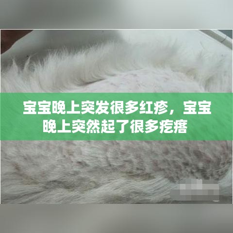 厨房设备回收 第140页