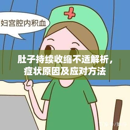 肚子持续收缩不适解析,症状原因及应对方法