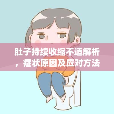 肚子持续收缩不适解析,症状原因及应对方法