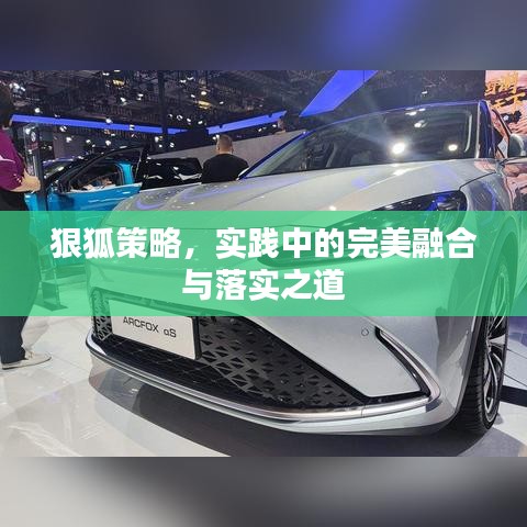 狠狐策略，实践中的完美融合与落实之道