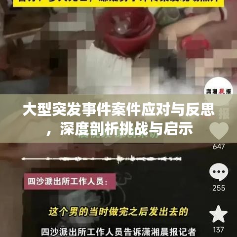 大型突发事件案件应对与反思，深度剖析挑战与启示