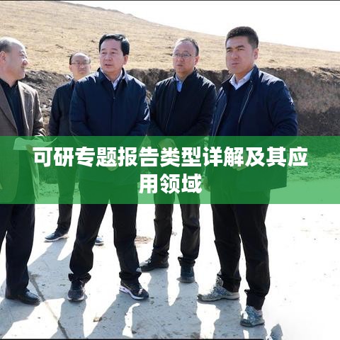 可研专题报告类型详解及其应用领域