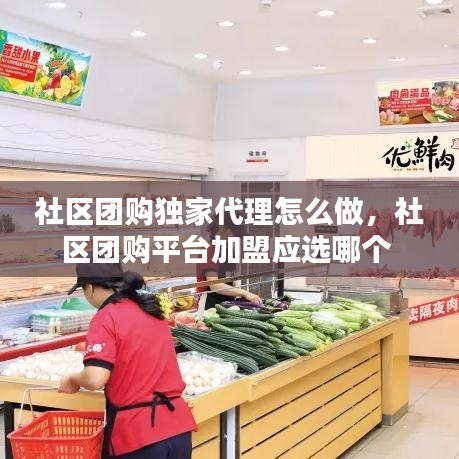 社区团购独家代理怎么做，社区团购平台加盟应选哪个 