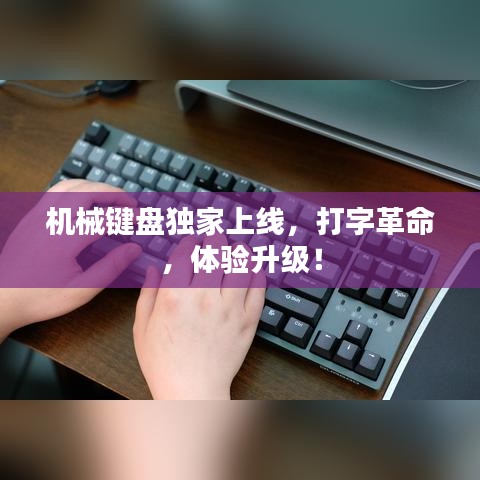 机械键盘独家上线，打字革命，体验升级！