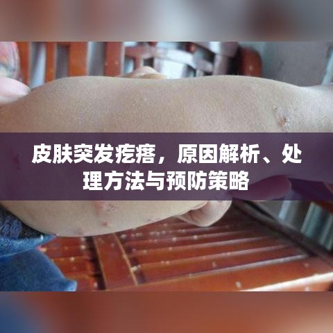 皮肤突发疙瘩，原因解析、处理方法与预防策略