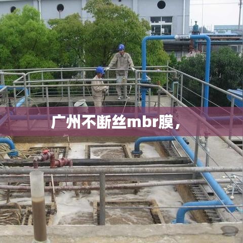 广州不断丝mbr膜,