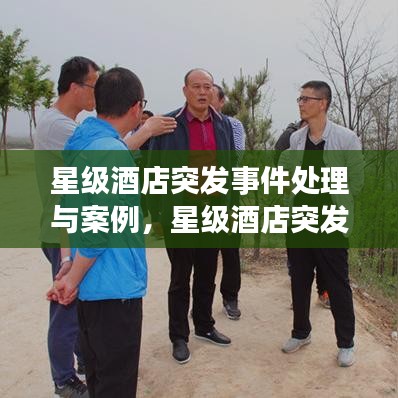 星级酒店突发事件处理与案例，星级酒店突发事件处理与案例分析 