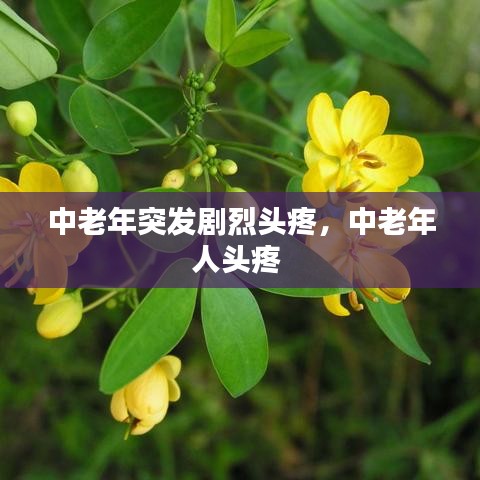 中老年突发剧烈头疼,中老年人头疼