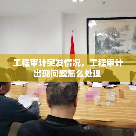 工程审计突发情况,工程审计出现问题怎么处理