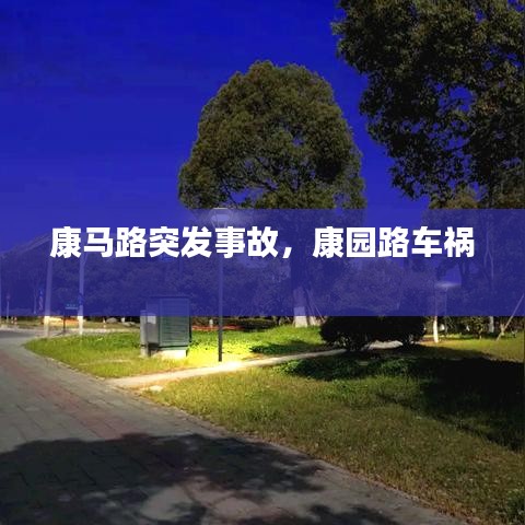 康马路突发事故，康园路车祸 