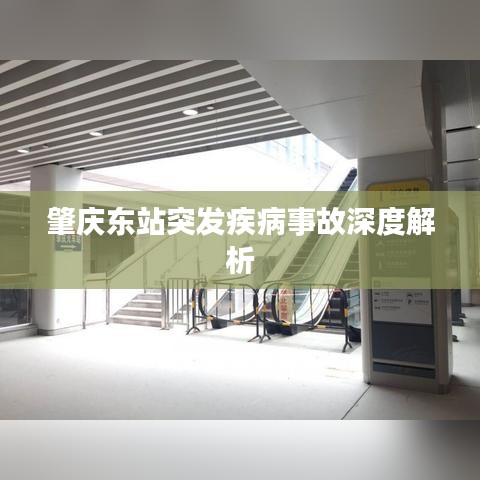 肇庆东站突发疾病事故深度解析