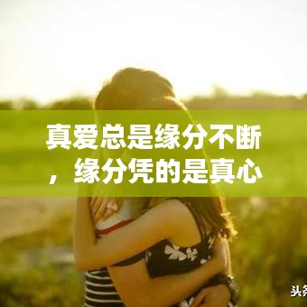 真爱总是缘分不断,缘分凭的是真心真意,感情要的是不离不弃