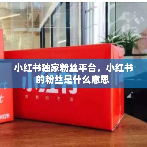 小红书独家粉丝平台,小红书的粉丝是什么意思