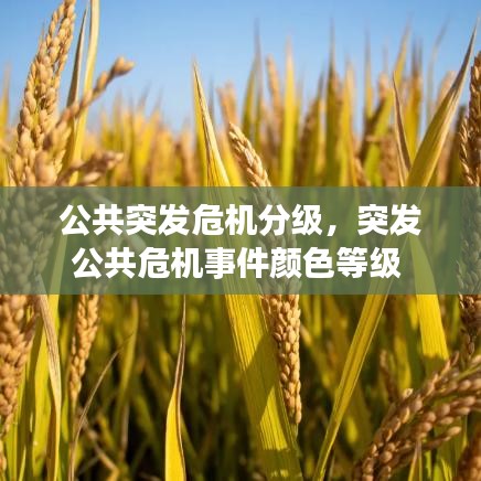 公共突发危机分级，突发公共危机事件颜色等级 