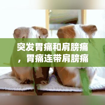 突发胃痛和肩膀痛,胃痛连带肩膀痛