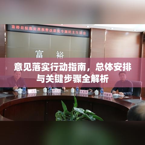 意见落实行动指南,总体安排与关键步骤全解析