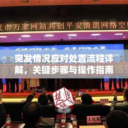 12333官方下载软件,高效策略设计解析&amp;AP_v1.502