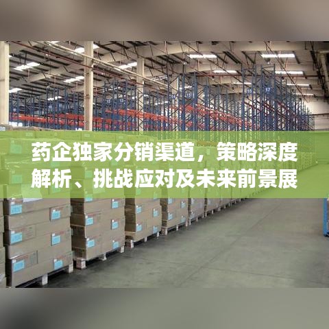 药企独家分销渠道，策略深度解析、挑战应对及未来前景展望