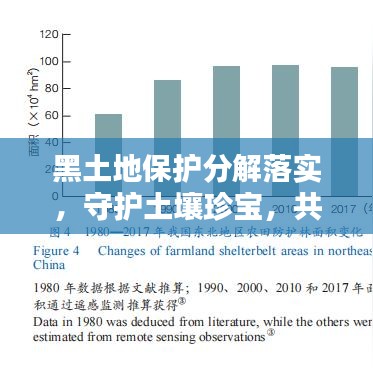 黑土地保护分解落实,守护土壤珍宝,共筑生态安全屏障