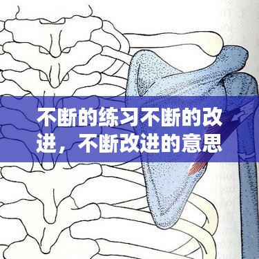 不断的练习不断的改进,不断改进的意思是什么