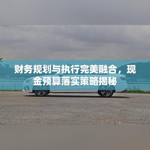财务规划与执行完美融合，现金预算落实策略揭秘
