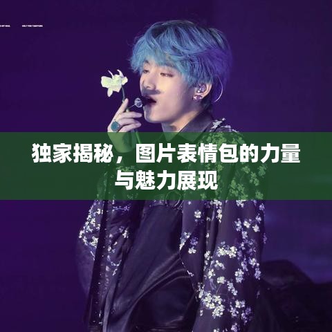 独家揭秘,图片表情包的力量与魅力展现