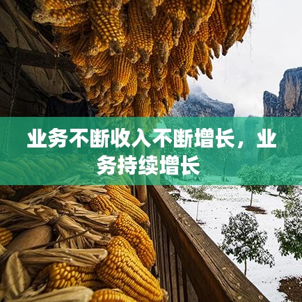 业务不断收入不断增长，业务持续增长 