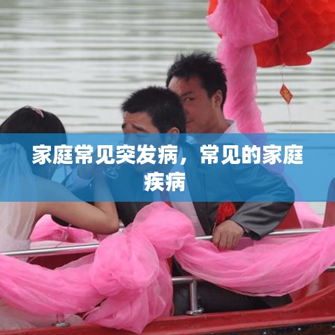 家庭常见突发病,常见的家庭疾病